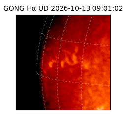 gong - 2026-10-13T09:01:02