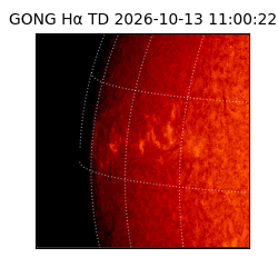 gong - 2026-10-13T11:00:22