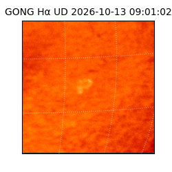 gong - 2026-10-13T09:01:02