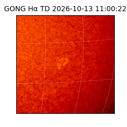 gong - 2026-10-13T11:00:22