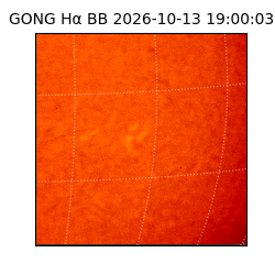 gong - 2026-10-13T19:00:03