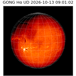 gong - 2026-10-13T09:01:02
