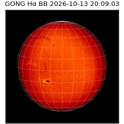 gong - 2026-10-13T20:09:03