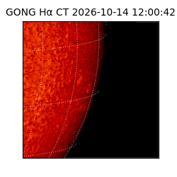 gong - 2026-10-14T12:00:42