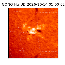 gong - 2026-10-14T05:00:02