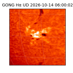 gong - 2026-10-14T06:00:02