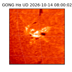 gong - 2026-10-14T08:00:02