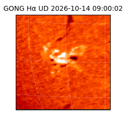 gong - 2026-10-14T09:00:02
