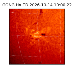 gong - 2026-10-14T10:00:22