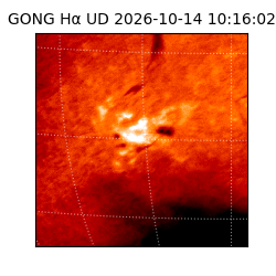 gong - 2026-10-14T10:16:02
