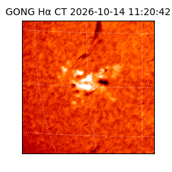gong - 2026-10-14T11:20:42