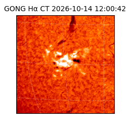 gong - 2026-10-14T12:00:42