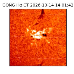 gong - 2026-10-14T14:01:42