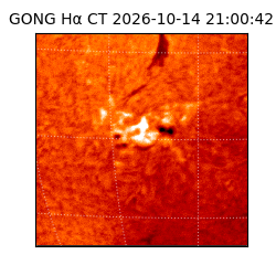 gong - 2026-10-14T21:00:42