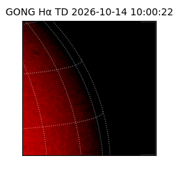 gong - 2026-10-14T10:00:22