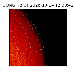 gong - 2026-10-14T12:00:42