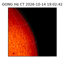 gong - 2026-10-14T19:02:42
