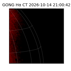 gong - 2026-10-14T21:00:42