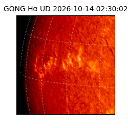 gong - 2026-10-14T02:30:02