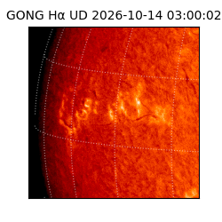 gong - 2026-10-14T03:00:02