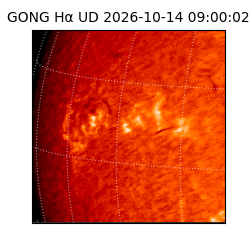 gong - 2026-10-14T09:00:02