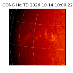 gong - 2026-10-14T10:00:22