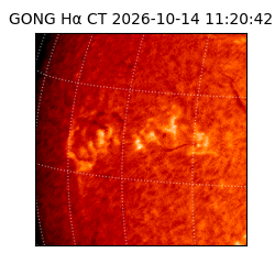 gong - 2026-10-14T11:20:42