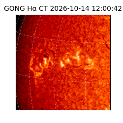 gong - 2026-10-14T12:00:42