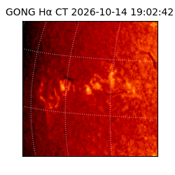 gong - 2026-10-14T19:02:42
