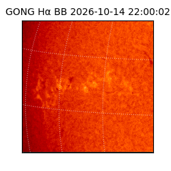 gong - 2026-10-14T22:00:02