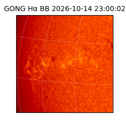gong - 2026-10-14T23:00:02