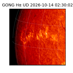 gong - 2026-10-14T02:30:02
