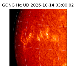gong - 2026-10-14T03:00:02