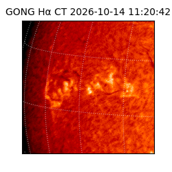 gong - 2026-10-14T11:20:42