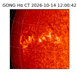 gong - 2026-10-14T12:00:42