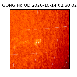 gong - 2026-10-14T02:30:02