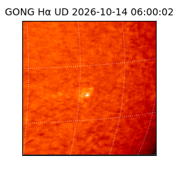 gong - 2026-10-14T06:00:02