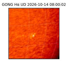 gong - 2026-10-14T08:00:02