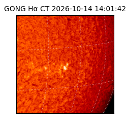 gong - 2026-10-14T14:01:42