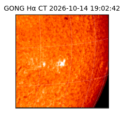 gong - 2026-10-14T19:02:42
