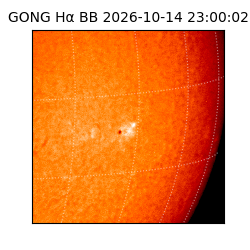 gong - 2026-10-14T23:00:02
