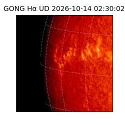 gong - 2026-10-14T02:30:02