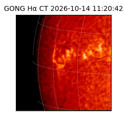 gong - 2026-10-14T11:20:42