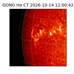 gong - 2026-10-14T12:00:42