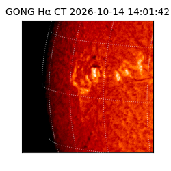 gong - 2026-10-14T14:01:42