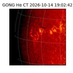 gong - 2026-10-14T19:02:42