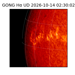 gong - 2026-10-14T02:30:02