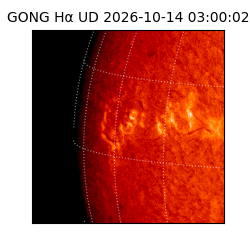 gong - 2026-10-14T03:00:02
