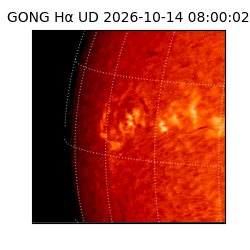 gong - 2026-10-14T08:00:02