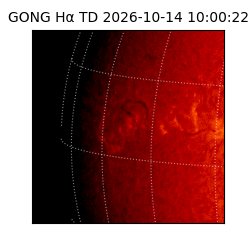 gong - 2026-10-14T10:00:22